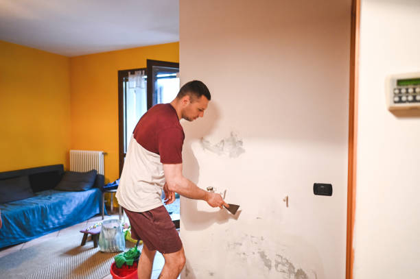 Best Health and Safety Mold Remediation in Greenwood, DE